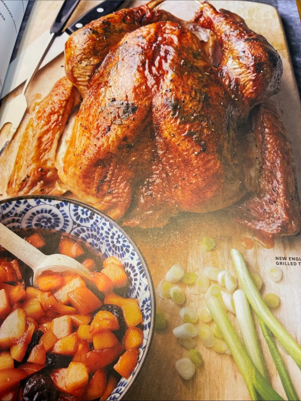 Better Homes & Gardens Grilling recipes & Slow cooker recipes cookbook magazine